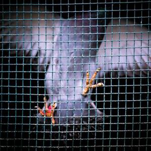 无码免费一区二区三区
