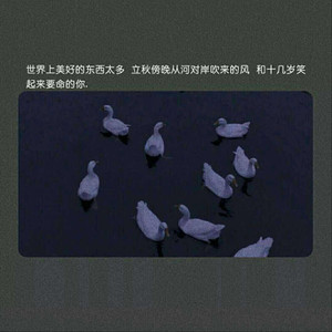 无码免费一区二区三区
